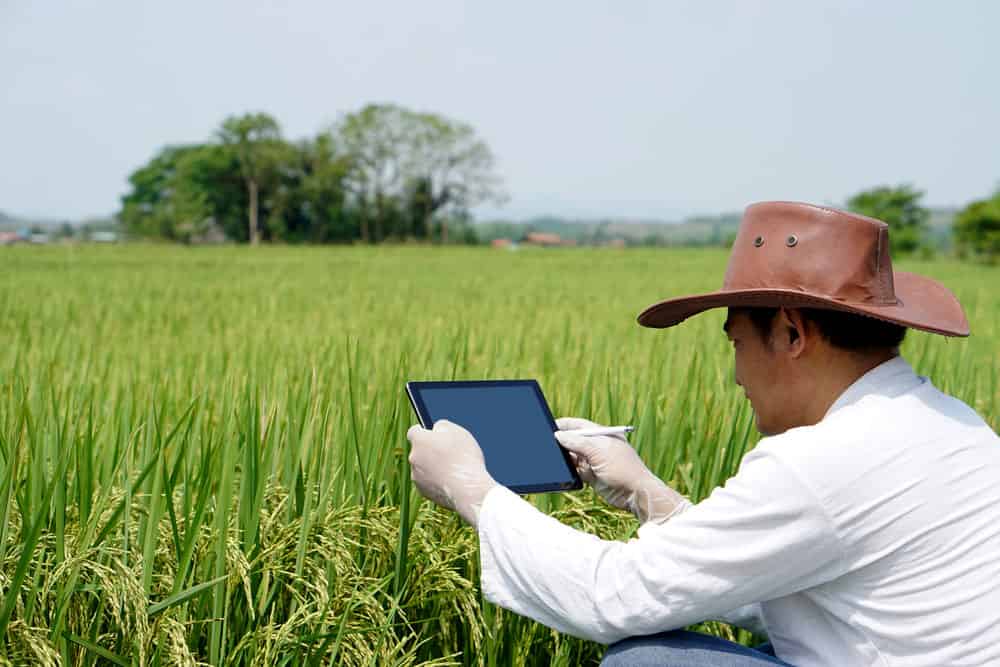 A farmer taking a photo