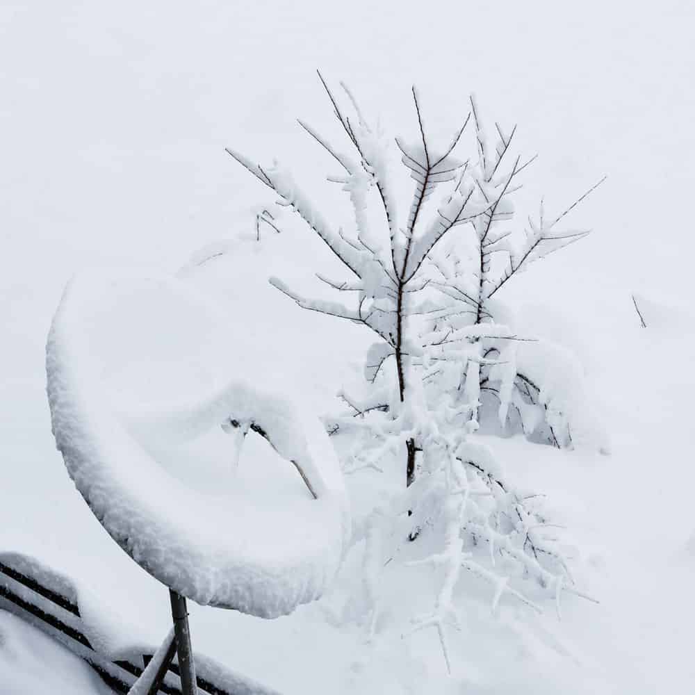A satellite dish totally under snow cover.