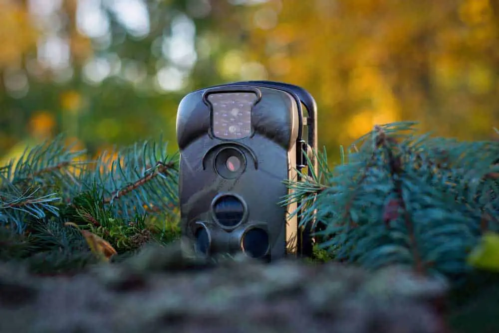 A Simple Stealth Cam. 