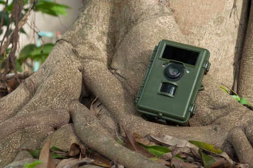 A Trail Camera for capturing live images. 