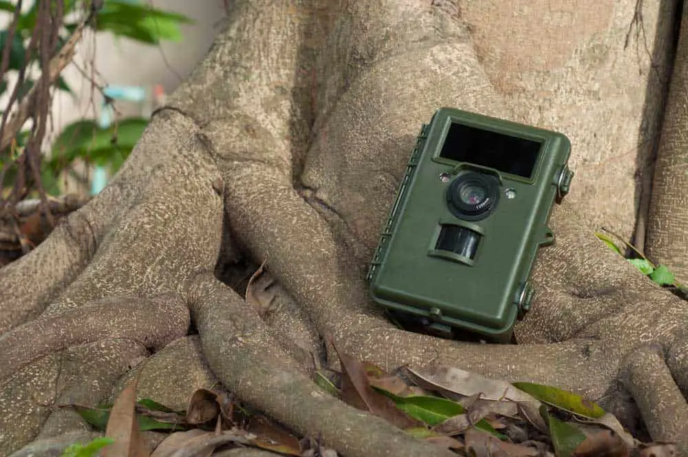 A Trail Camera for capturing live images.