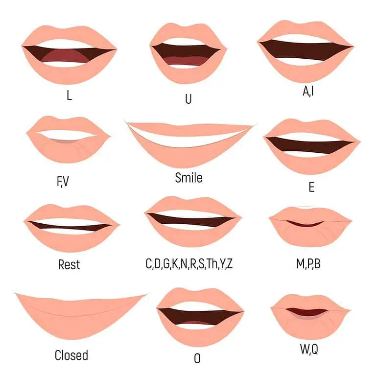 Lip positions during different pronunciations.