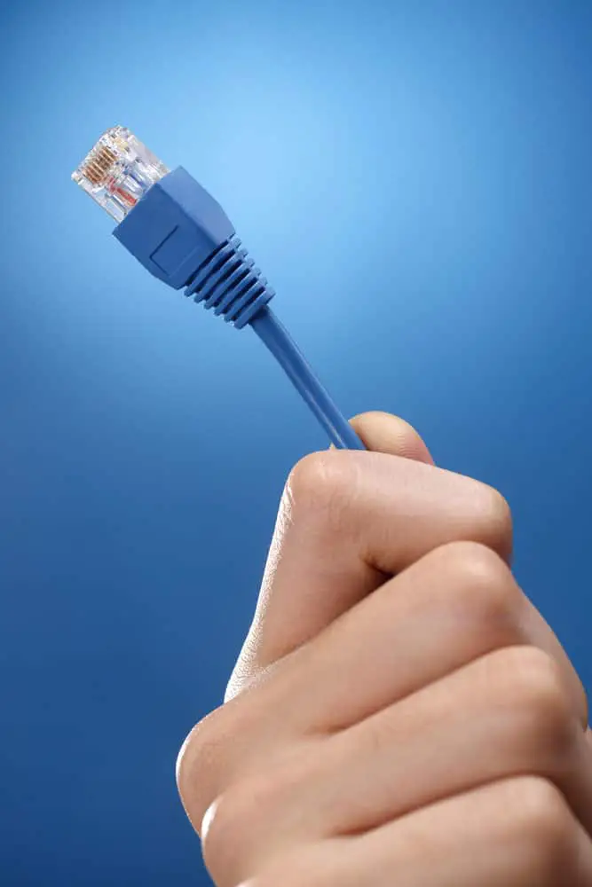 A hand holding an ethernet cable. 
